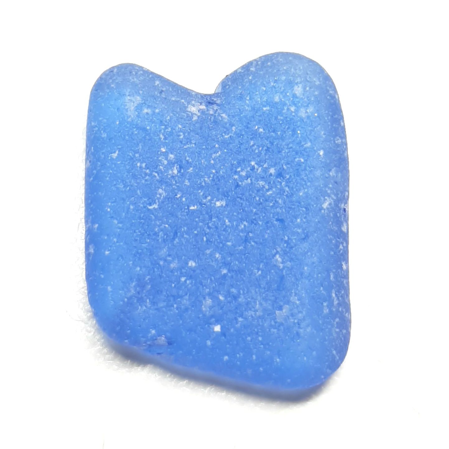 African Cornflower Blue