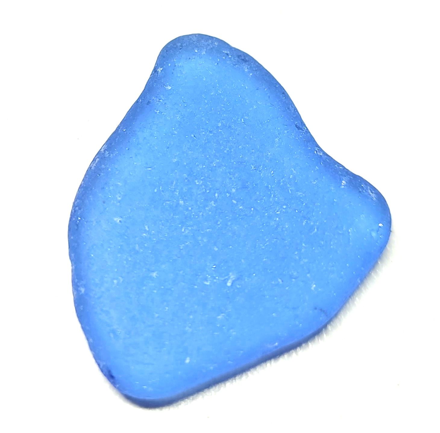 African Cornflower Blue