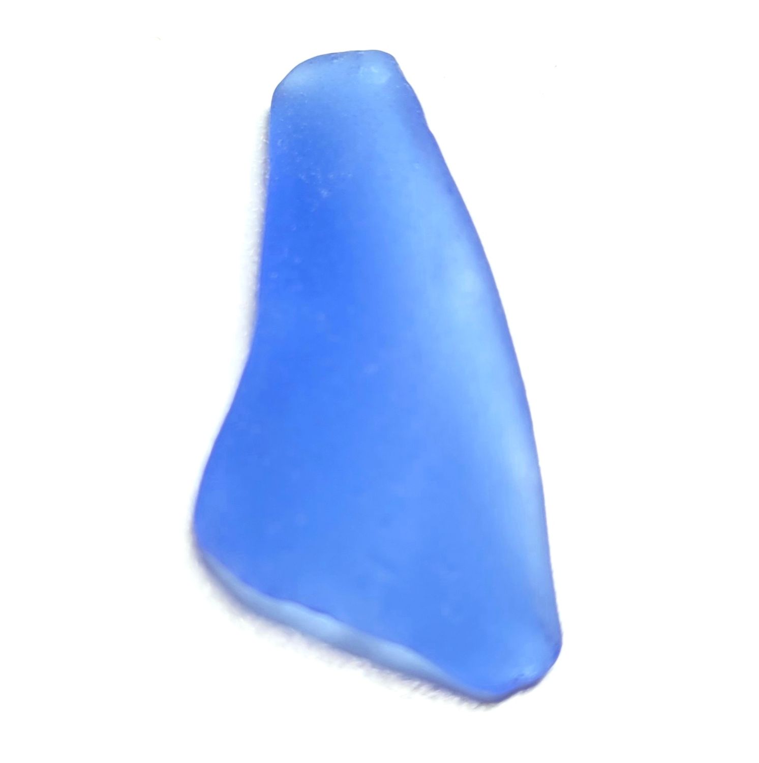 African Cornflower Blue