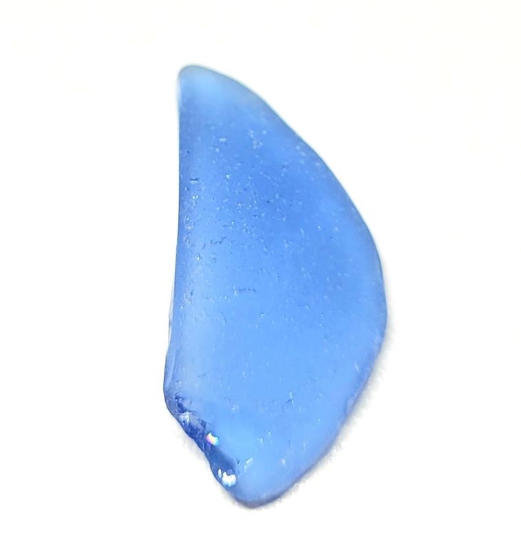 Caribbean Cornflower Blue Caribbean Cornflower Blue