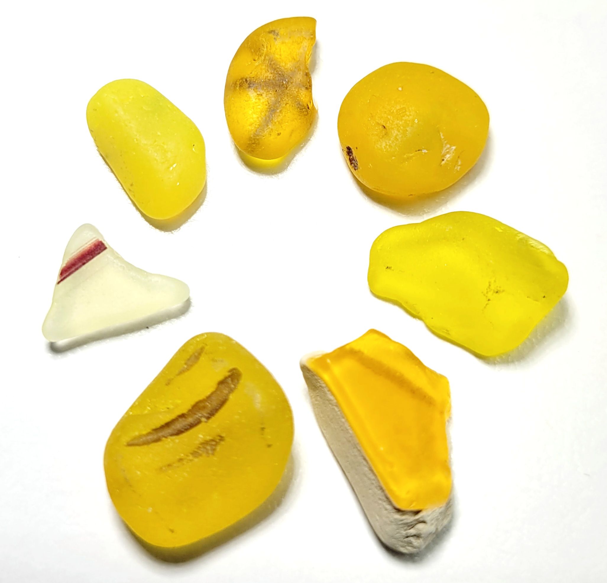 Wild Orange & Yellow Oddities that GLOW!!- 7pcs