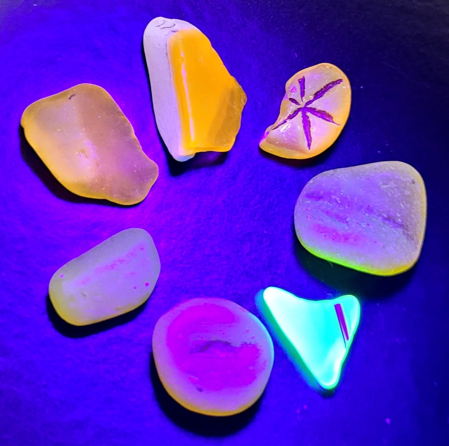 Wild Orange & Yellow Oddities that GLOW!!- 7pcs