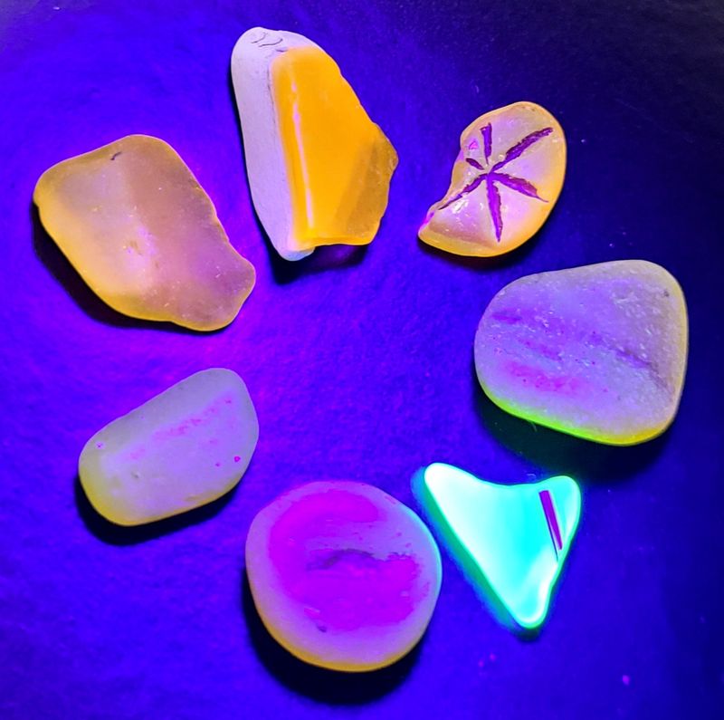 Wild Orange & Yellow Oddities that GLOW!!- 7pcs Wild Orange & Yellow Oddities that GLOW!!- 7pcs