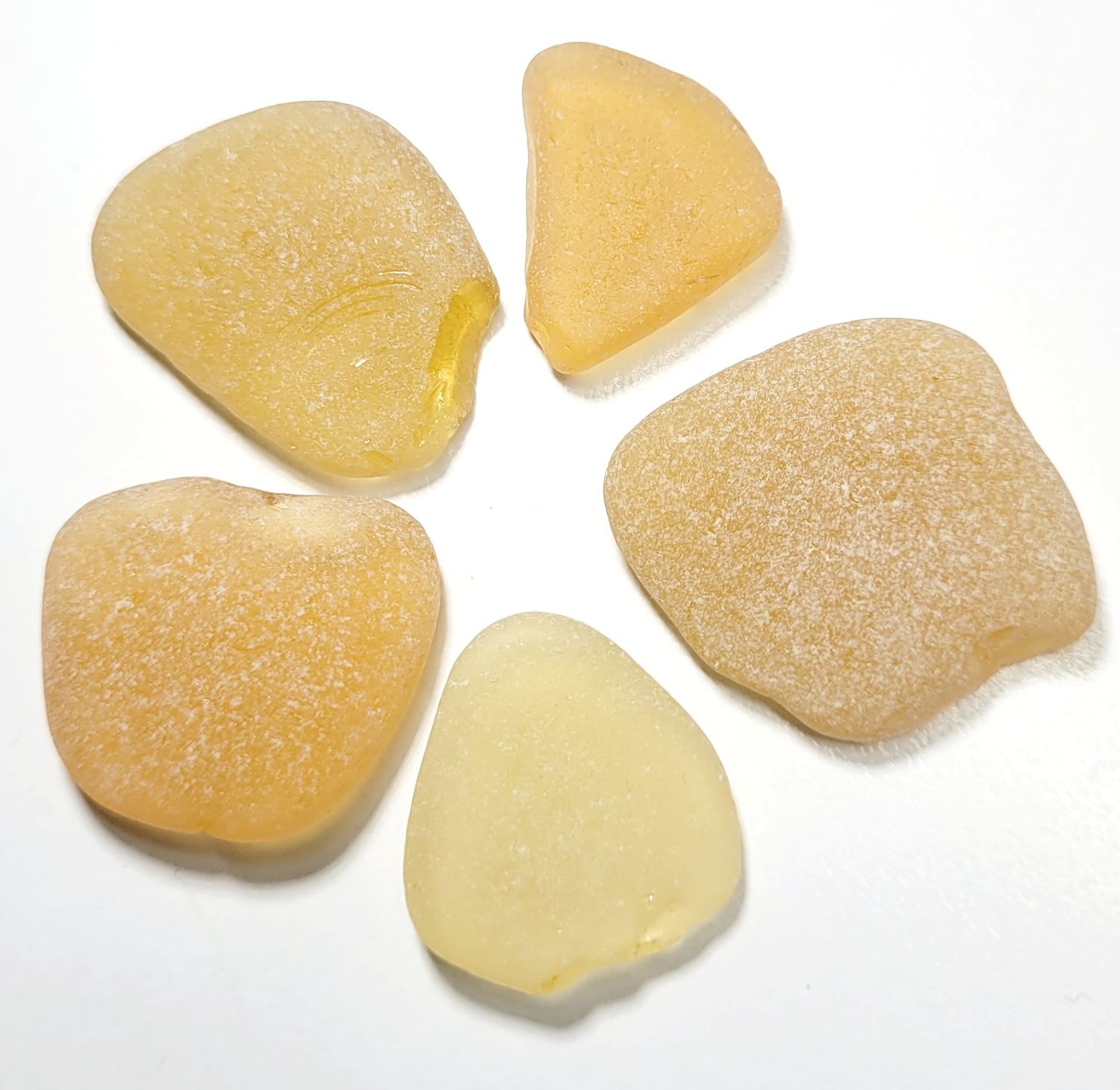 Spanish Honey Browns - 5pcs