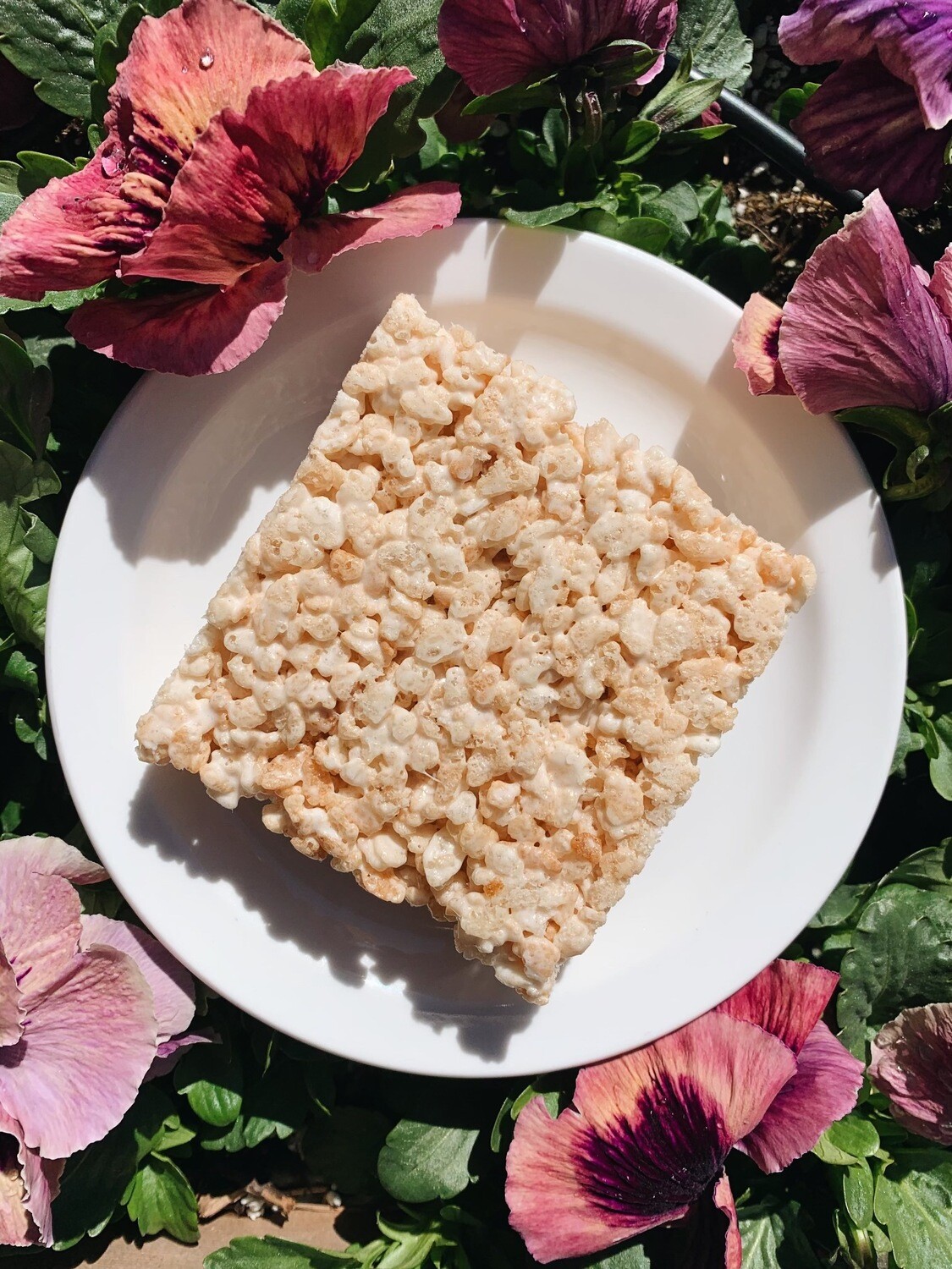 Rice Krispy