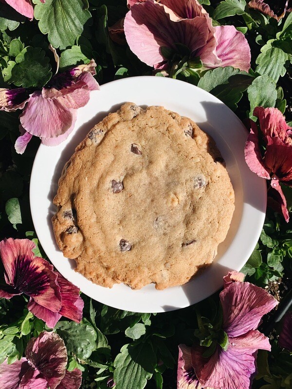 Chocolate Walnut Cookie