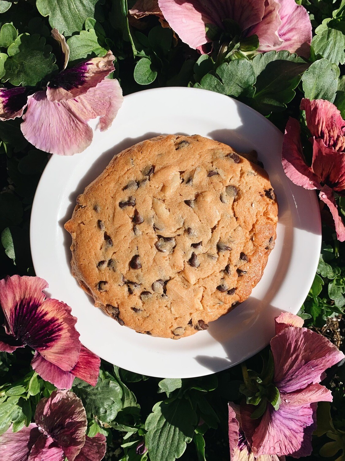 GF Cookie