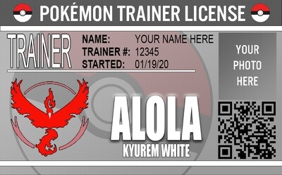 Pokémon Trainer License