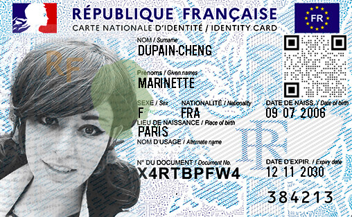 Miraculous Ladybug National ID Card