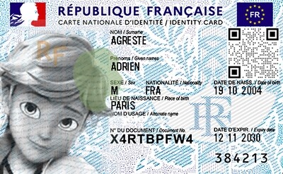 Miraculous Ladybug National ID Card