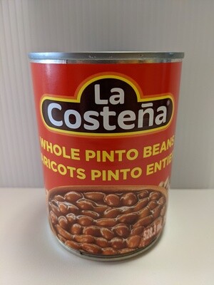 Whole Pinto B La Costena