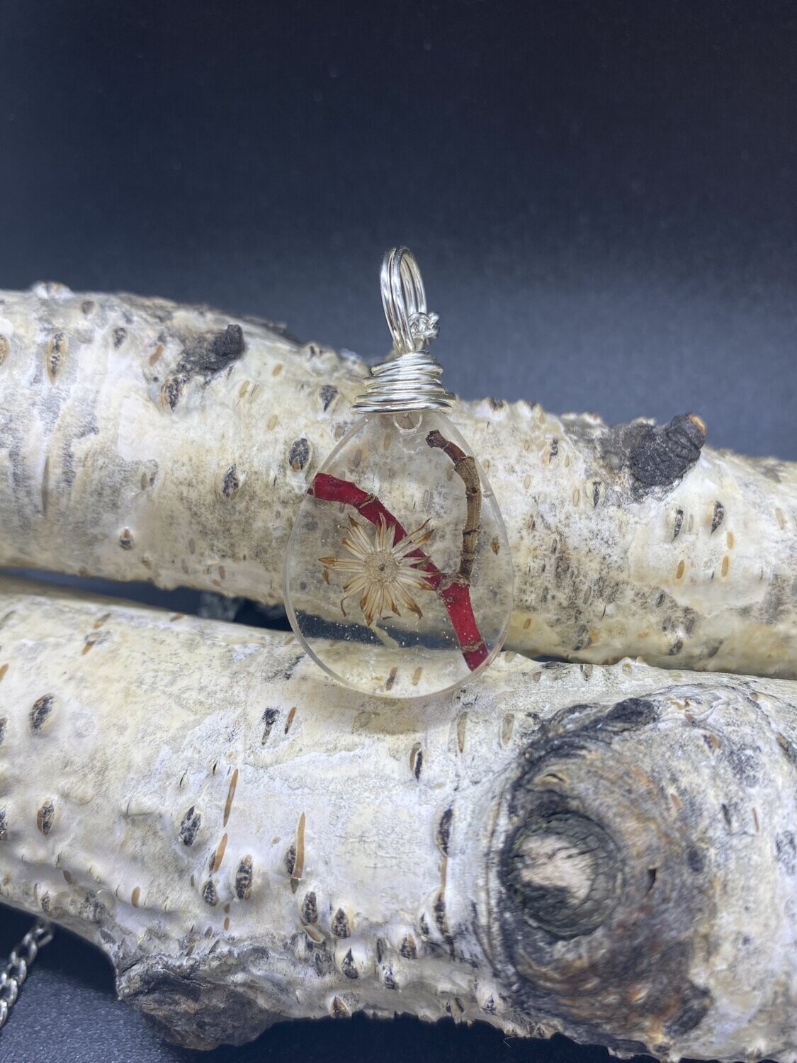 Red Dogwood & Aster Pendant