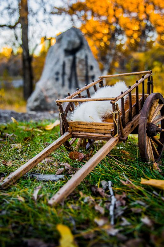 Red River Cart (Heritage)