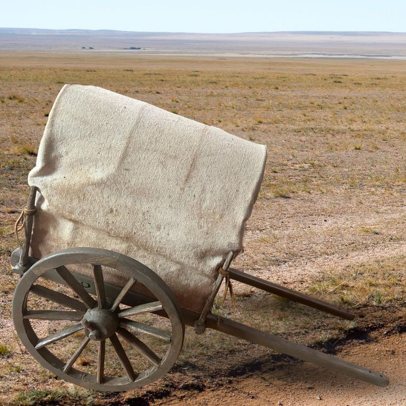 Red River Cart (Covered)