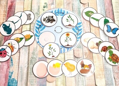 Busy bag activity. Life Cycle activity. Learning life cycle activity for toddler. Educational toy. Fun educational game for toddler.