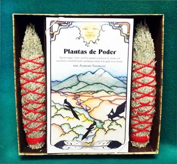 Gift Box - Plantas de Poder Book & 2 Smudges