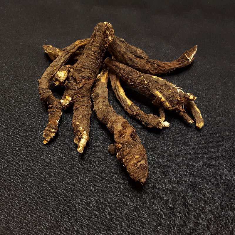 Osha Root - 1 LB
