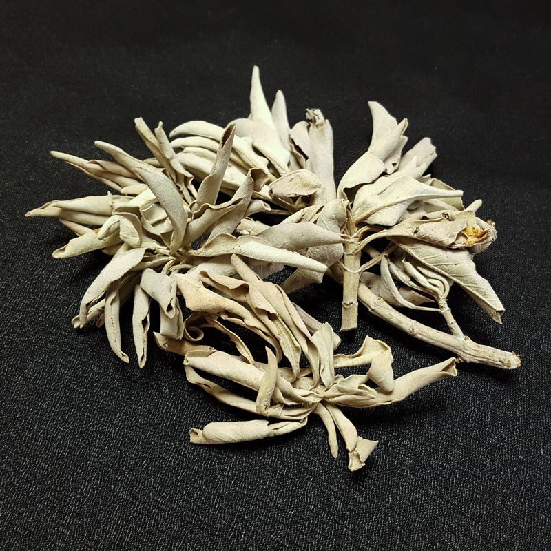 White Sage Clusters - 1 oz