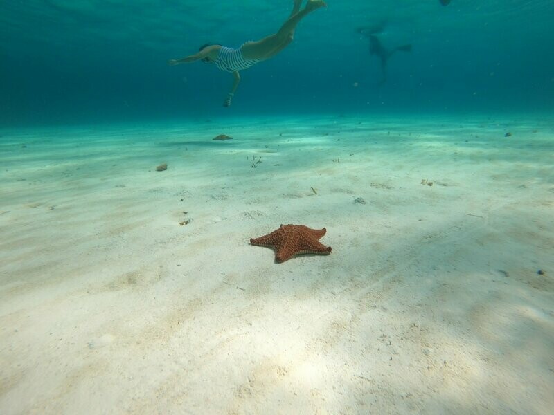 4 Hours - Maximum of Cozumel Tour