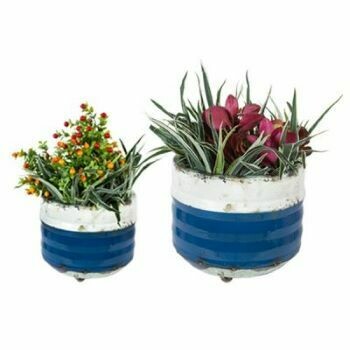 Made from completely recycled metal, these Bondi Planters look excellent on a balcony or in a conservatory, as well as being an indoor feature 