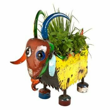 Billy the Goat is a lovely fun metal planter and with a length of 71.5 cm will certainly get him noticed.
