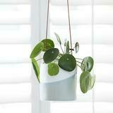 Aginst a white background, dipped split painted in grey and white finish hanging pot