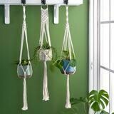 Macrame white finish pot hanger - A sturdy metal ring keeps the hanger securely in place. The glass pot is not included; it’s for illustrative purposes only.
This image shows three of them planted up against a green wall