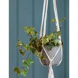 Pot is in soft grey with a lovely crackle glaze,. The hanging macramé pot is a classic boho style statement and looks beautiful with a trailing plant spilling from it.
Against a blue wall and planted.