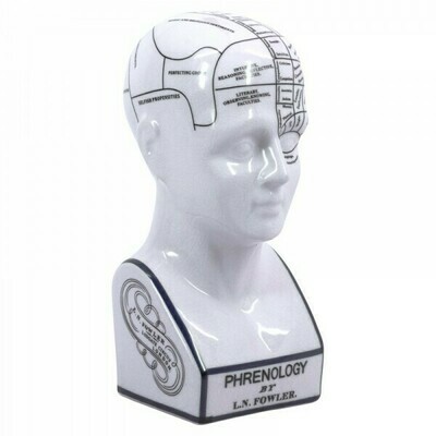 Phrenology Head