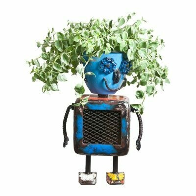 He may be our small Planterbot, but he's still nearly two feet tall! So, he's your very own robot, but you add the planting on his head to give him your own choice of 'hair'!