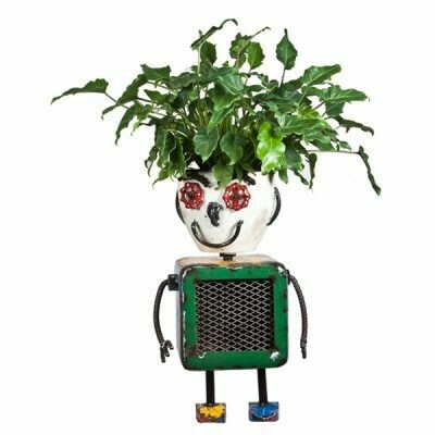With a smile on his fave, he's such a handsome robot, and he's over two feet tall!! You just add your own plant into his head-top  and he's suddenly got a personality all of his own!