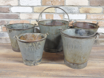 So simple, but using metal buckets as a plant pot always looks good.