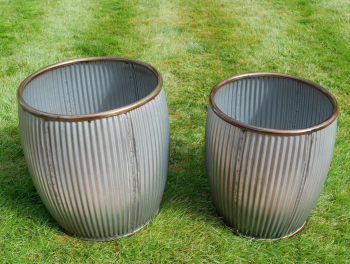 The beauty of the Warwick Planters stands out.