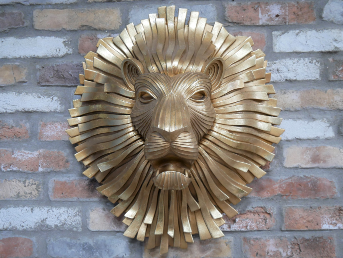 Lion Head Golden