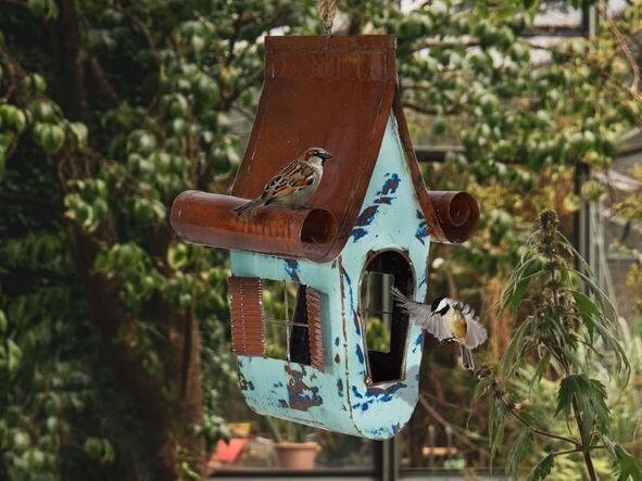 Recycled Victoria Bird House
Brown Roof with Curved Edges
Light blue house with side window and open entrance at side