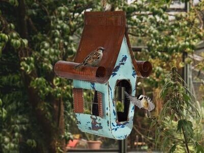 Recycled Victoria Bird House
Brown Roof with Curved Edges
Light blue house with side window and open entrance at side