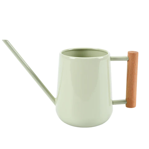 Pale jade finish watering jug with wooden side handle