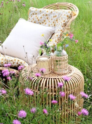 Looks good in the garden summertime 