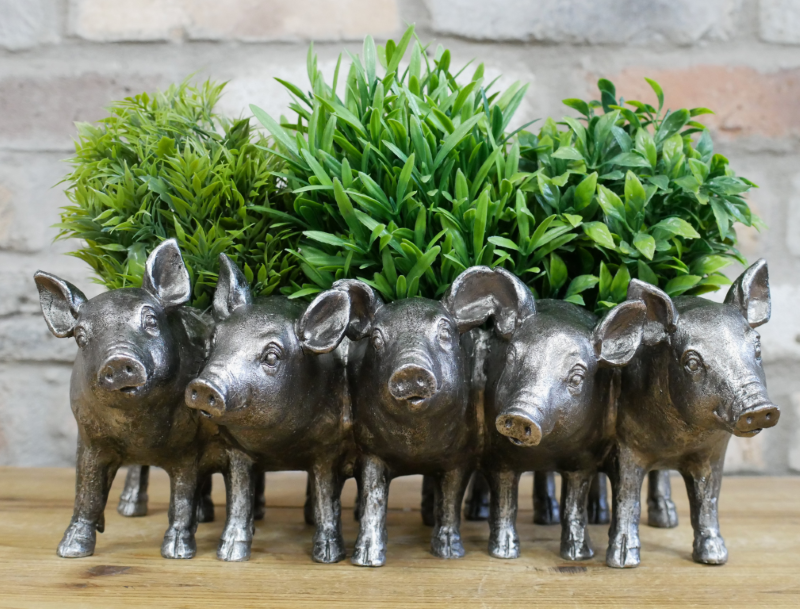 Squiggles Pig Planter
Five Piglets form one planter in a metallic finish.
The image shows them with plants planted.
Close up and with a background of a wall and wooden surface.