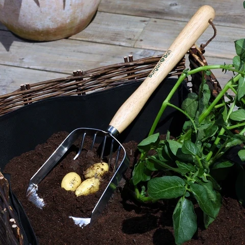 Mid Length Potato Harvester - wooden handle