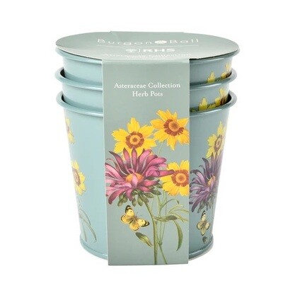 Asteraceae Design. Light Duck Egg Blue with three yellow flowers and one purple flower design.
Set of three pots stacked and in cardboard outer for resale presentation