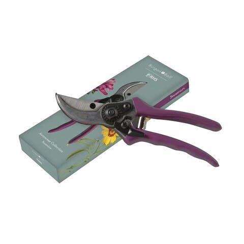 Asteraceae Design.  Light Duck Egg Blue with three yellow flowers and one purple flower design.
Purpled handled pruner. Gift box with pattern featured on.
