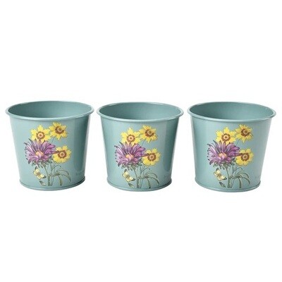 Asteraceae Design.  Light Duck Egg Blue with three yellow flowers and one purple flower design.
Set of three pots.