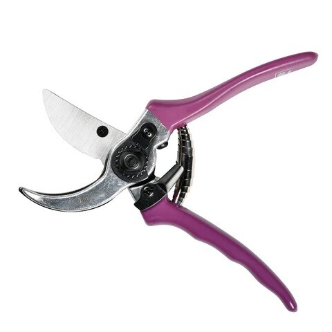 Purpled handled pruner. 