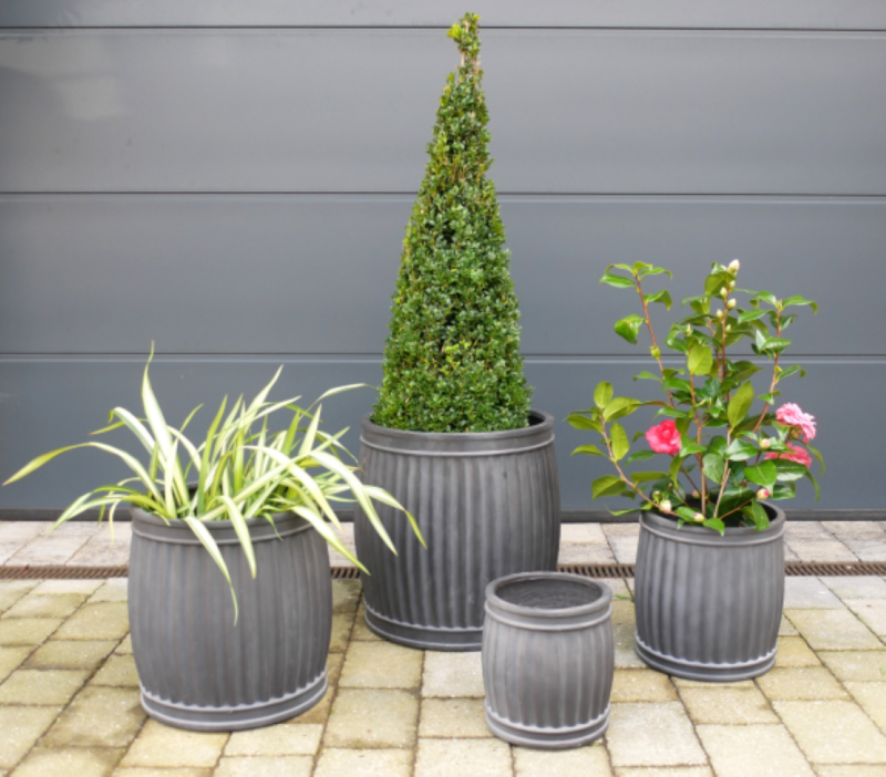 See how they look as a showpiece array, with your favourite plants