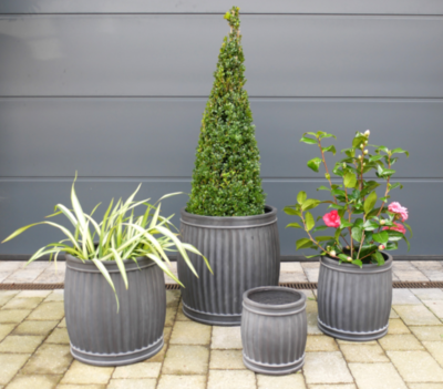 See how they look as a showpiece array, with your favourite plants