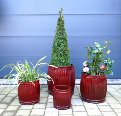 You get the whole set of four various sizes of these clay planters