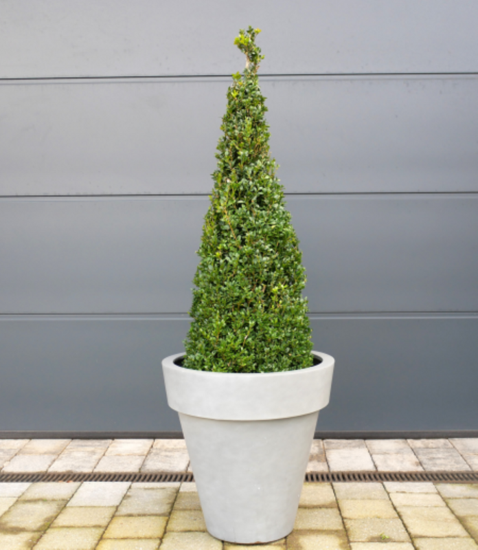 For indoor or outdoor use.