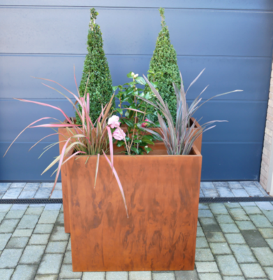 They make a great pair and just right for your planting.