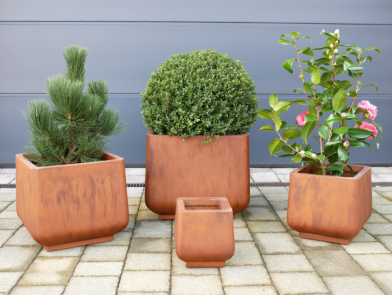They are of various sizes and can be planted up in many ways.